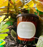 Gift Box of 2