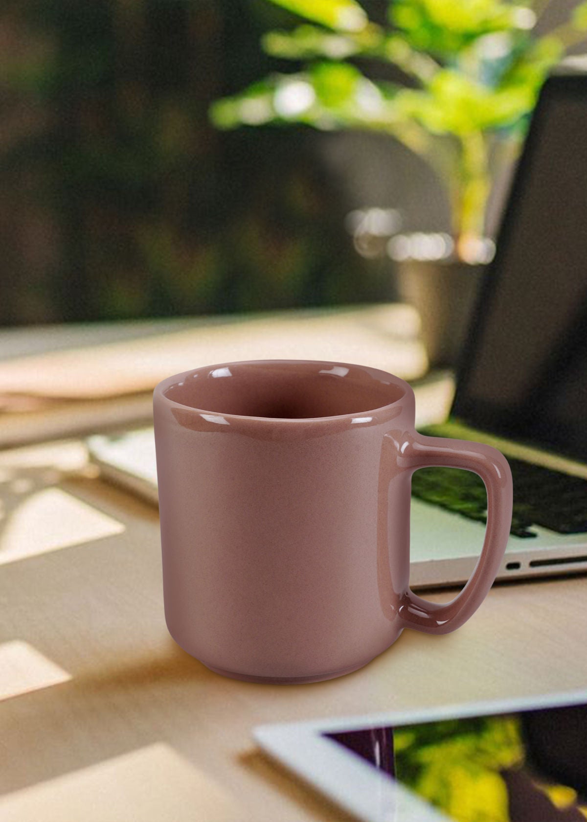 Vasu Mug — Set of 2
