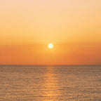 Golden Tide - Peach Coconut